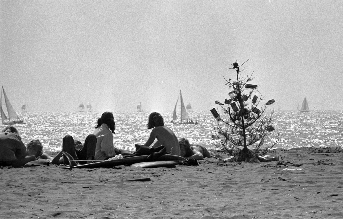 March 26, 1973: Near the surf, a discarded Christmas tree gets new life with litter as decoration in Marina del Rey.