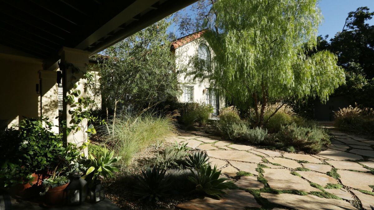 A pepper tree breaks up the yard and creates privacy between the main house and the guest house. Thyme grows in between flagstone pavers.