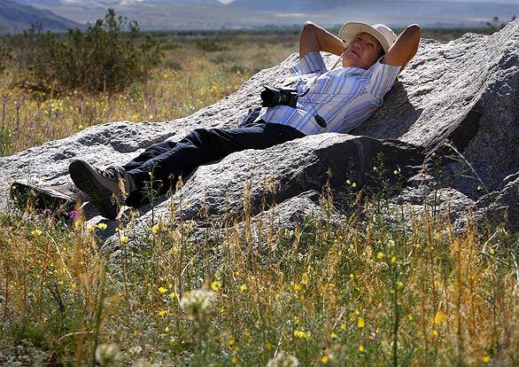 Reclining in Anza-Borrego Desert State Park