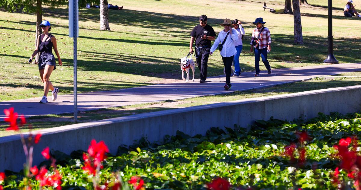 California's big COVID spike isn't expected to ease anytime soon