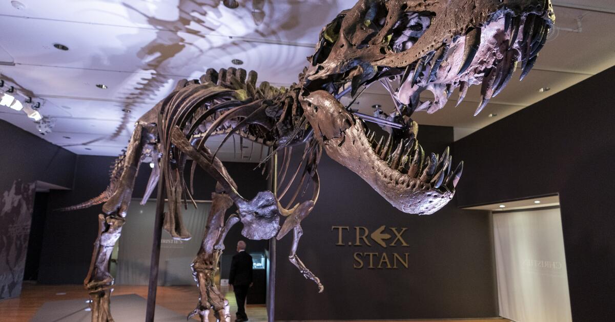 New Research Challenges Previous Notions of T. rex Intelligence: Cognitive Abilities More Similar to Reptiles Than Primates