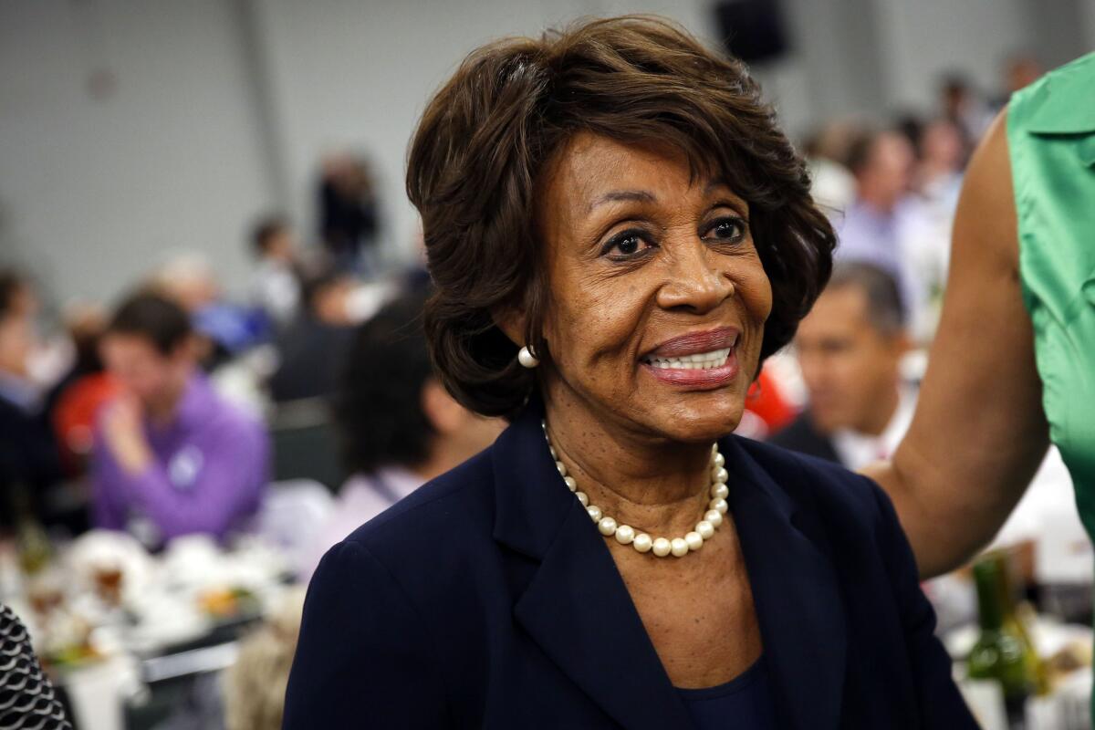 Rep. Maxine Waters has made her name in Washington as a fiery advocate for minorities and liberal causes, such as worker rights, since arriving in 1991.