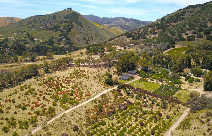 The 105-acre property has two homes, a flower farm, horse pasture, barn and 800 feet of ocean bluff.