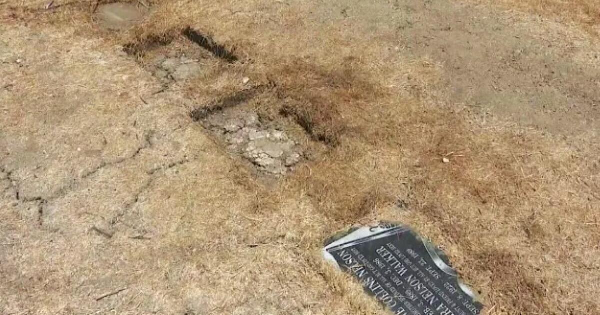 Deux chiens poignardés, un tué alors qu’il gardait le cimetière populaire de Los Angeles, selon le propriétaire au cœur brisé