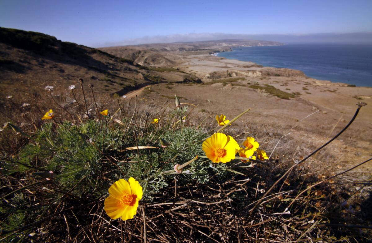Santa Rosa Island, which is located off the Santa Barbara coast, closed to visitors this week because of a drug-smuggling investigation.