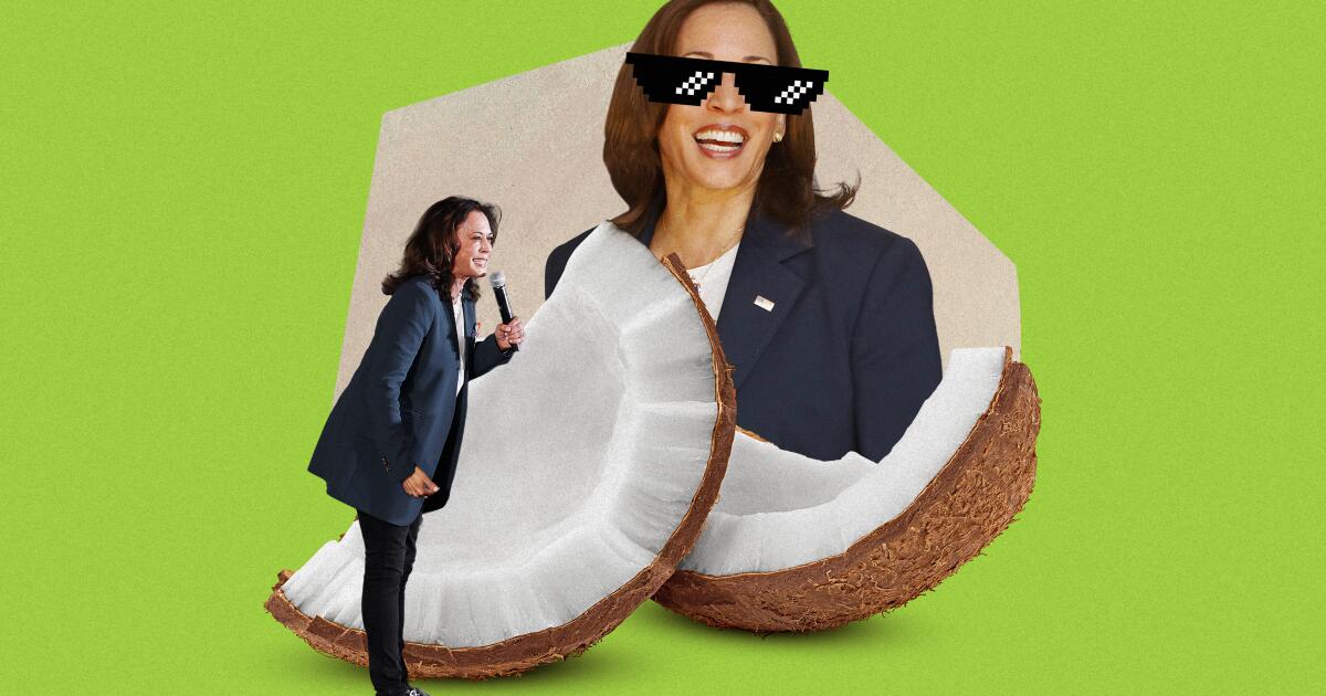 Hindistan cevizleri, 'serseri yaz' ve o kahkaha: Kamala Harris'in meme'leri