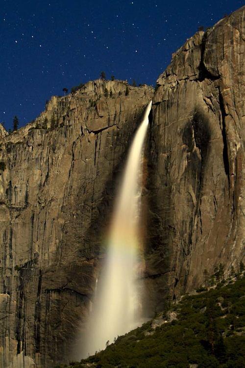 Spring in Yosemite