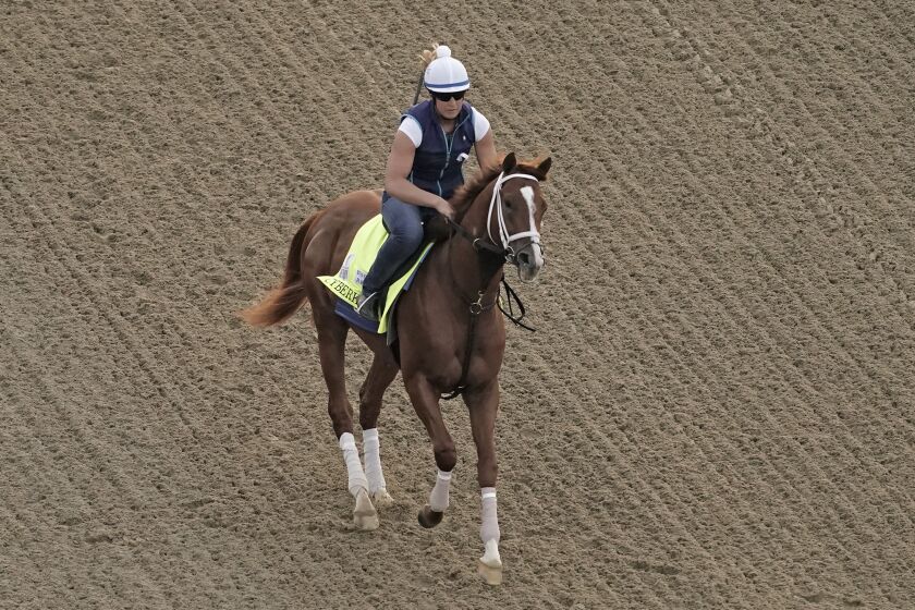 Kentucky Derby entrant Cyberknife works out at Churchill Downs Thursday, May 5, 2022, in Louisville, Ky. The 148th running of the Kentucky Derby is scheduled for Saturday, May 7. (AP Photo/Charlie Riedel)