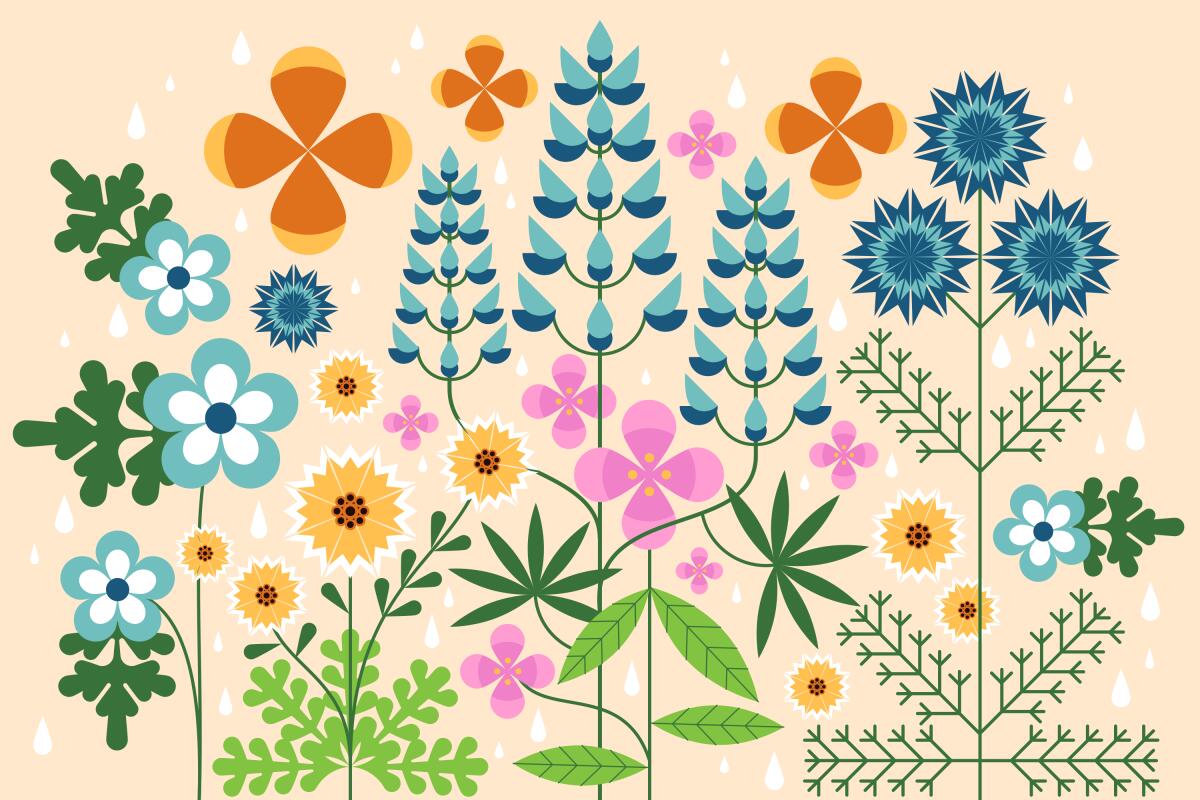 Illustration of various California native flowers blooming in the rain.