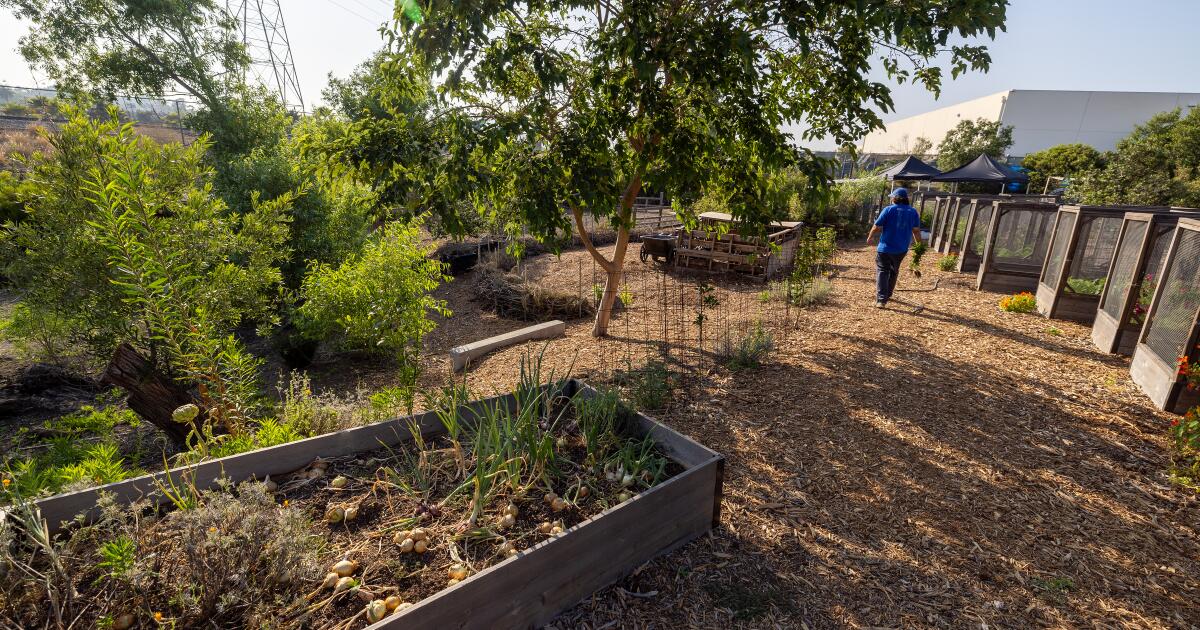 Tired of waiting, L.A. teachers create their own climate curriculum