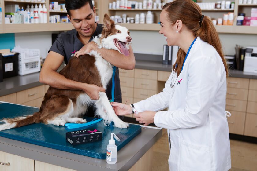 Select Petco hospitals will offer OncoK9, a liquid biopsy test for early cancer detection in dogs.