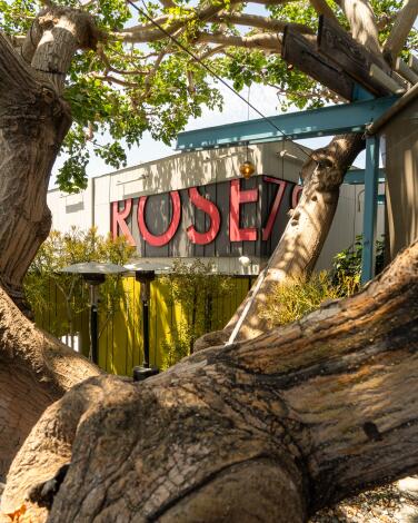 Rose Cafe's outdoor patio has a giant tree.