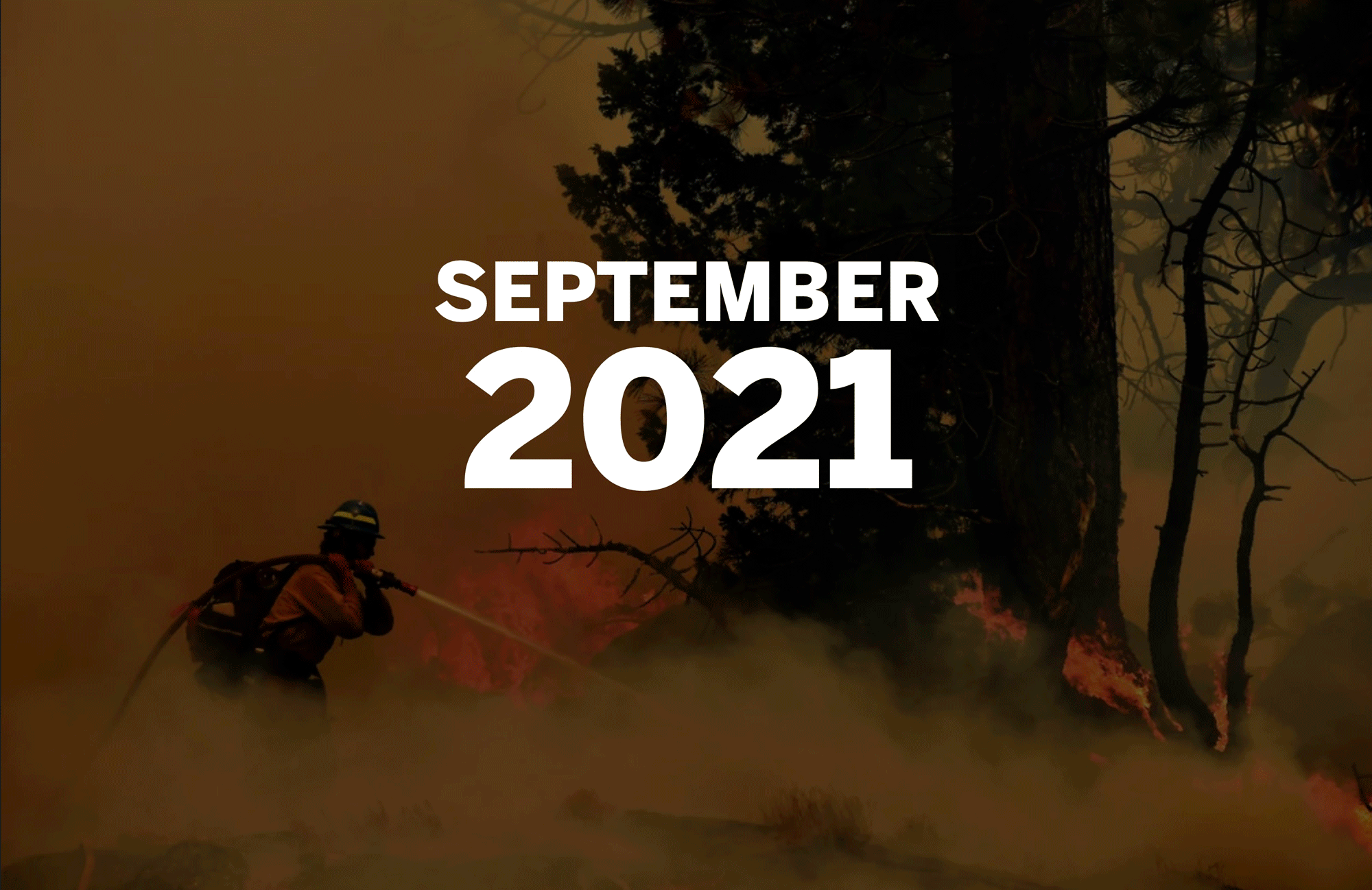 Sept. 2: Firefighters try to control a back fire to help battle the Caldor fire amid smoke and trees