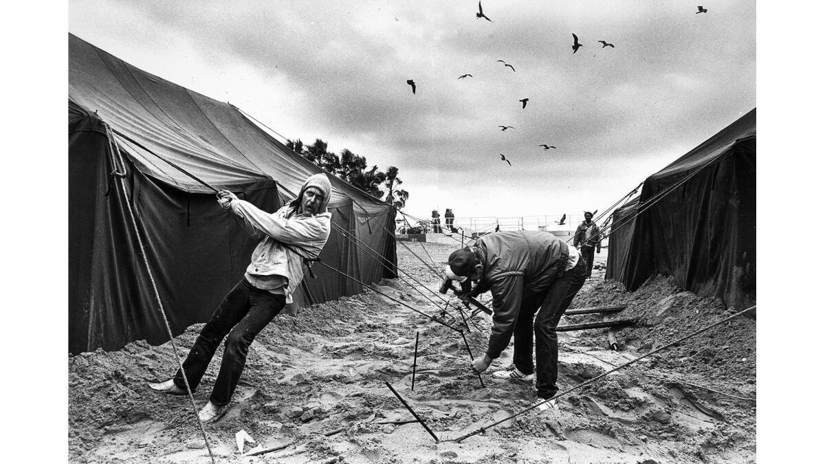 Jan. 17, 1988: Some of the homeless people at Venice Beach fight the wind while driving stakes into the sand after one of the tents was blown down.