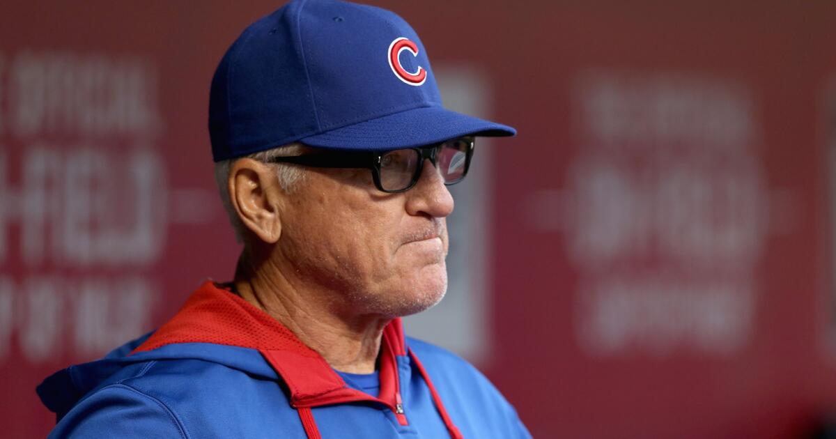 Joe Maddon Was Reportedly Unaware of Angels Allegations Before Interview  for Manager Opening