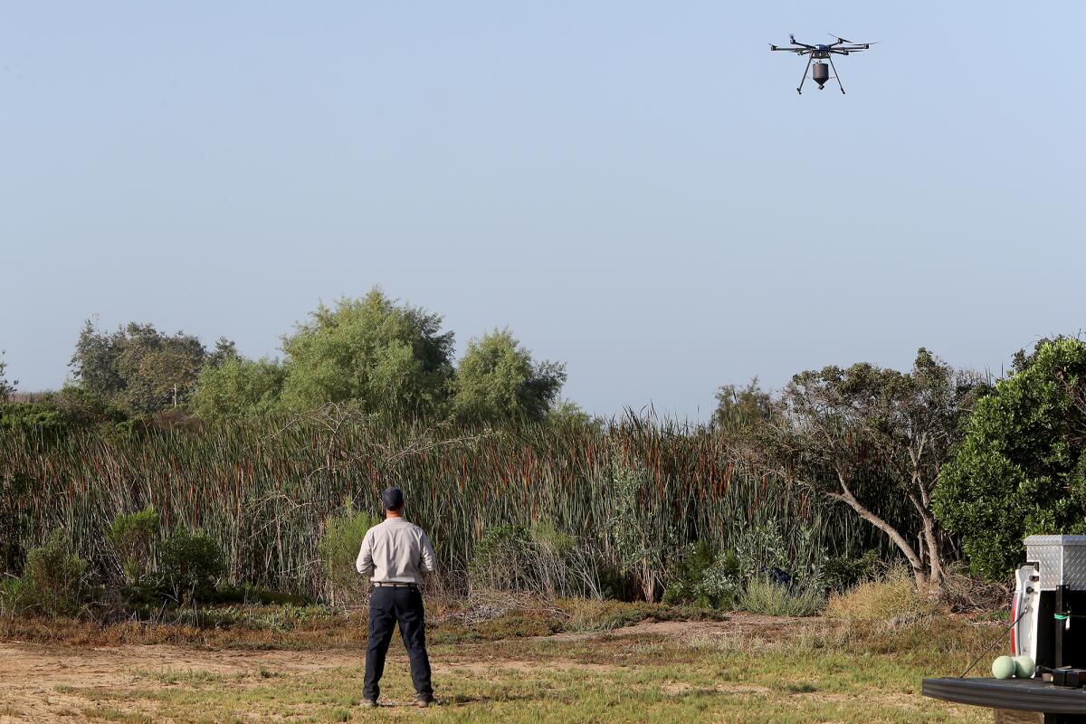 Drone operator John Savage flies a drone loaded with larvicide to the north end of Wieder Park Thursday.