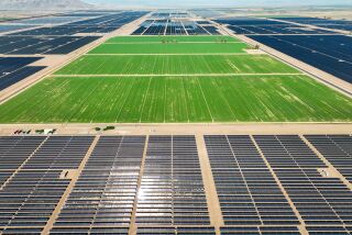 Imperial Valley, CA, Tuesday, 8/30 - Solar farms surround a West-Gro alfalfa farm. (Robert Gauthier/Los Angeles Times)