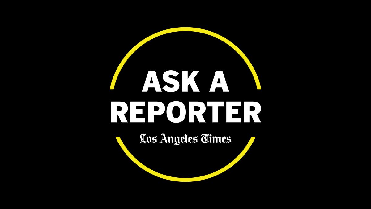 graphic reading "ask a reporter" in a yellow circle