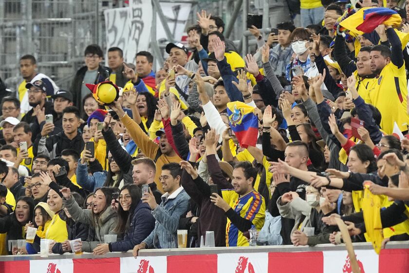 Ecuador supporters celebrate during the international friendly soccer match between Japan and Ecuador as part of the Kirin Challenge Cup in Duesseldorf, Germany, Tuesday, Sept. 27, 2022. (AP Photo/Martin Meissner)