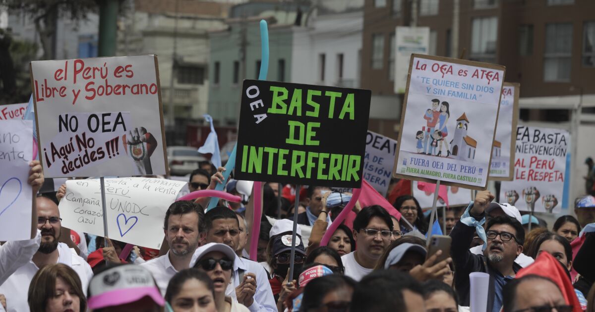 Miles de conservadores marchan en Lima contra agenda de la OEA