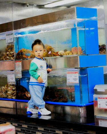 A young child stands before a tank filled with live seafood at a tore, turning back to look over his shoulder