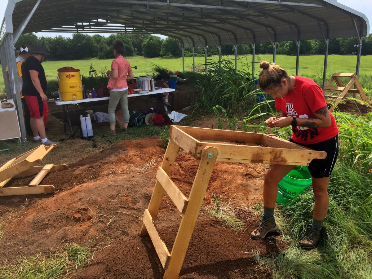 Kacie Larsen of Wichita State University shakes dirt through a screened box to see what artifacts may emerge.