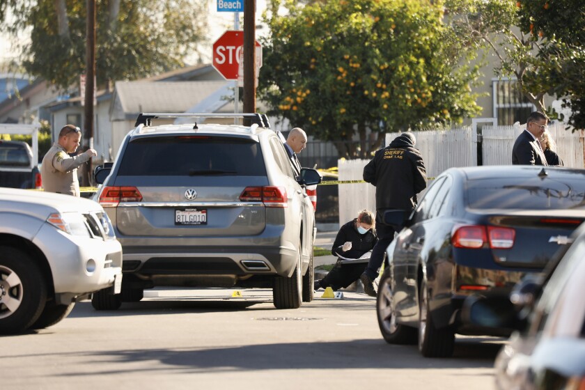 Police and investigators at a crime scene near parked cars on a street