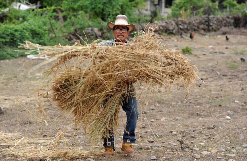 La sequía que azota a Centroamérica