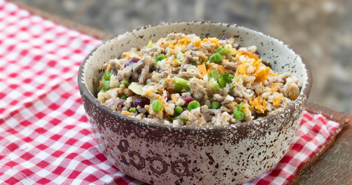 Easy homemade hash to make your dog smile Recipe - Fregnam.com