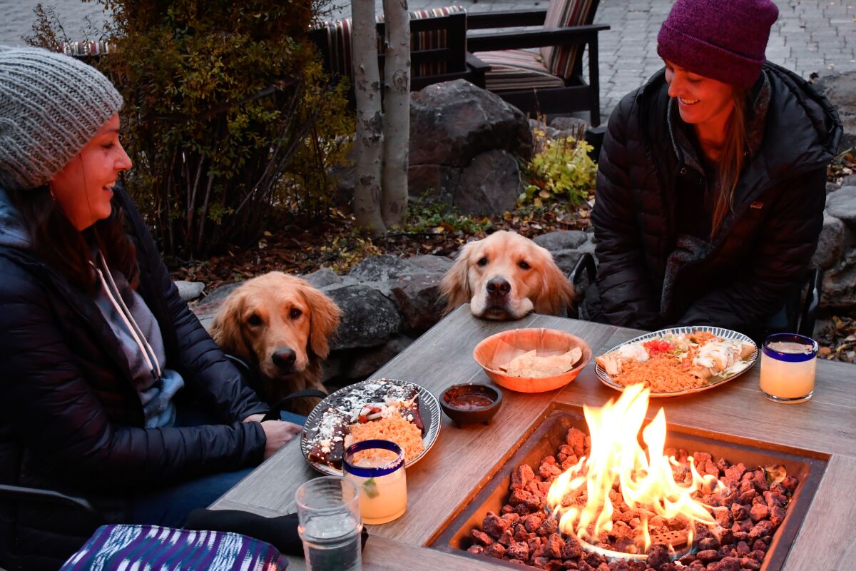 Two people sitting with dogs around a fire.
