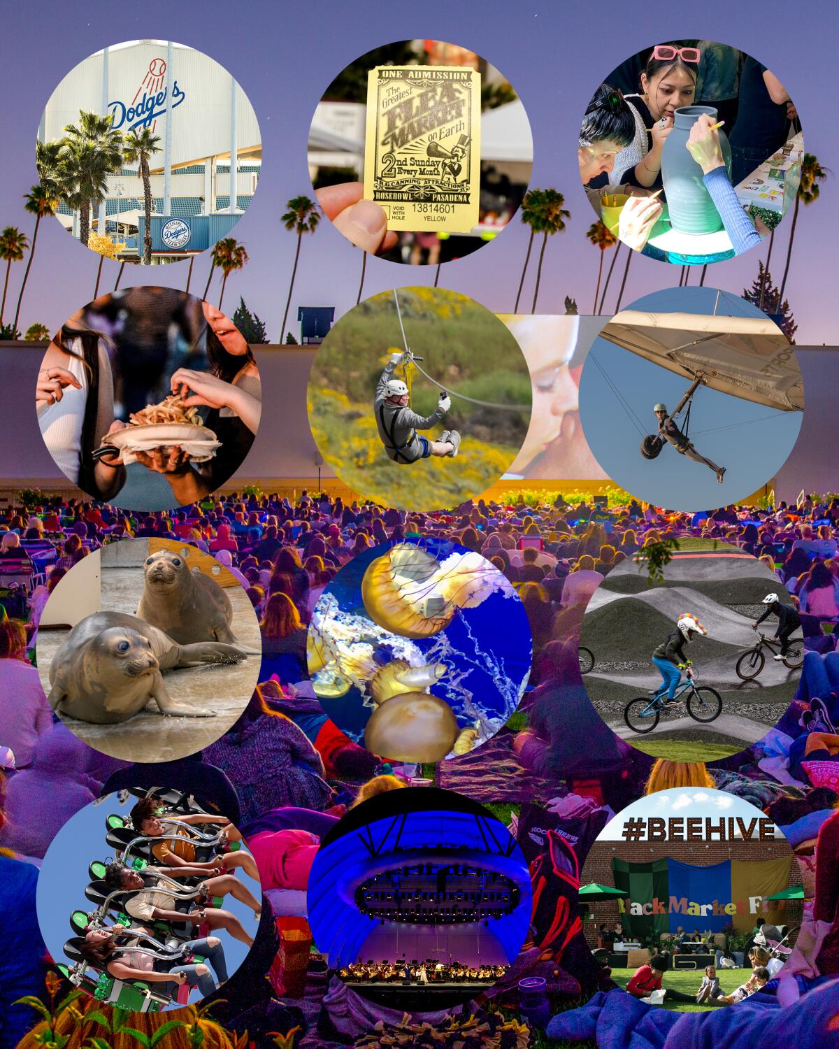 photo montage of summer activities in a grid of 12 circles