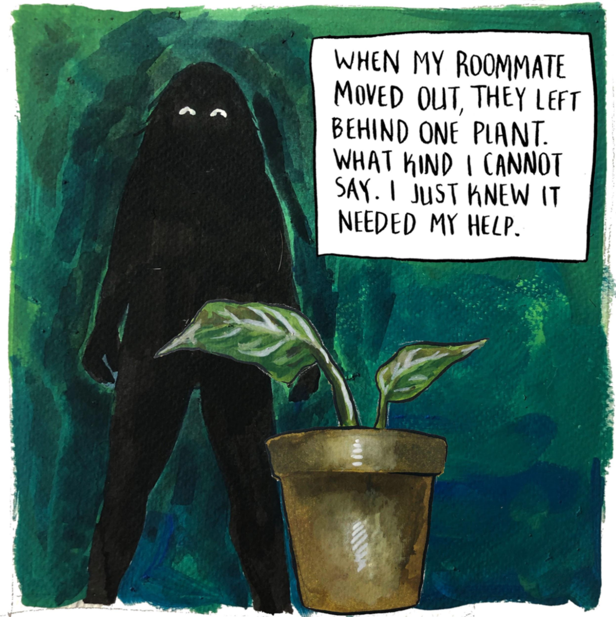 "When my roomate moved out, they left behind one plant. What kind I cannot say. I just knew it needed my help."