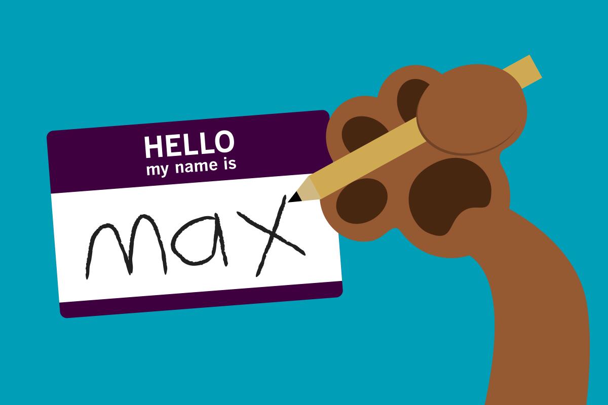 a cartoon paw writes "Max" on a nametag