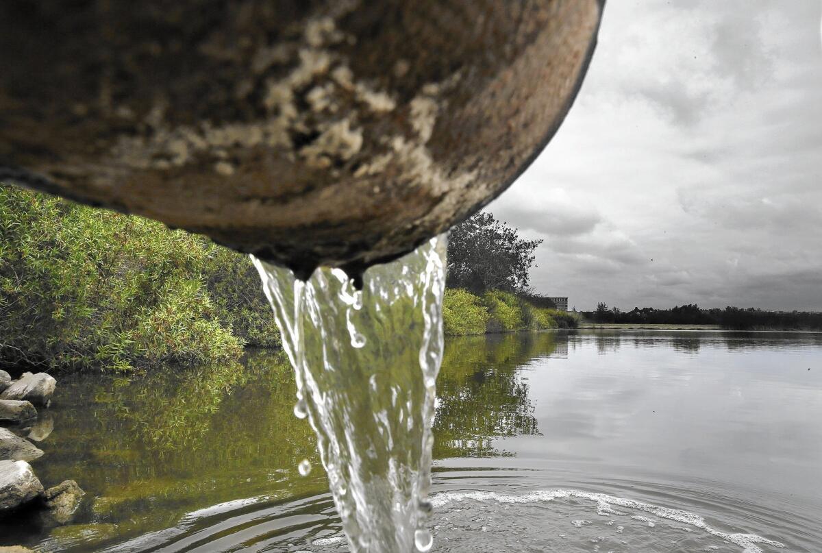 Urban runoff water flows into a pond at the San Joaquin Marsh & Wildlife Sanctuary in Irvine.