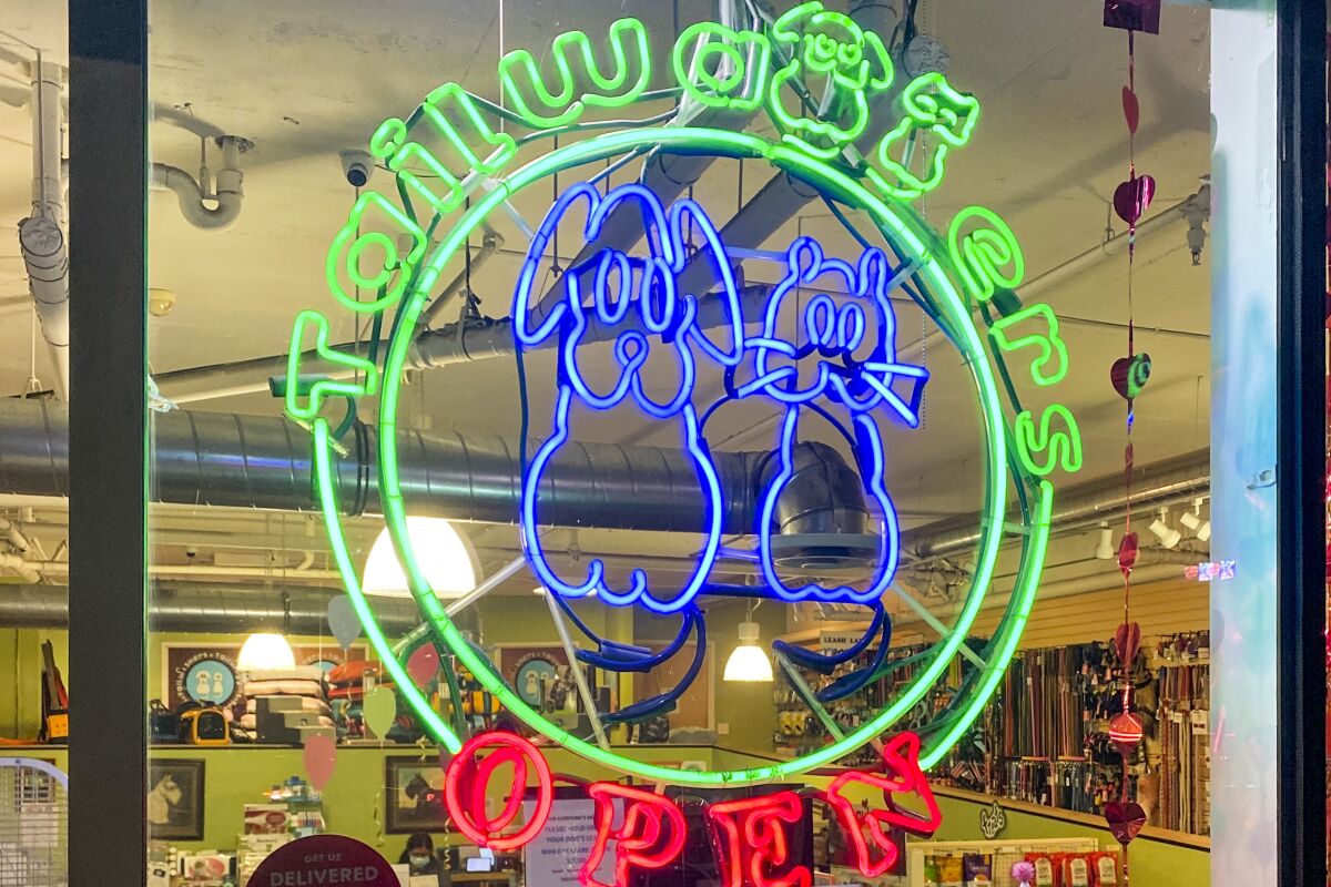 A round neon sign that reads Tailwaggers in the window of a pet store. 