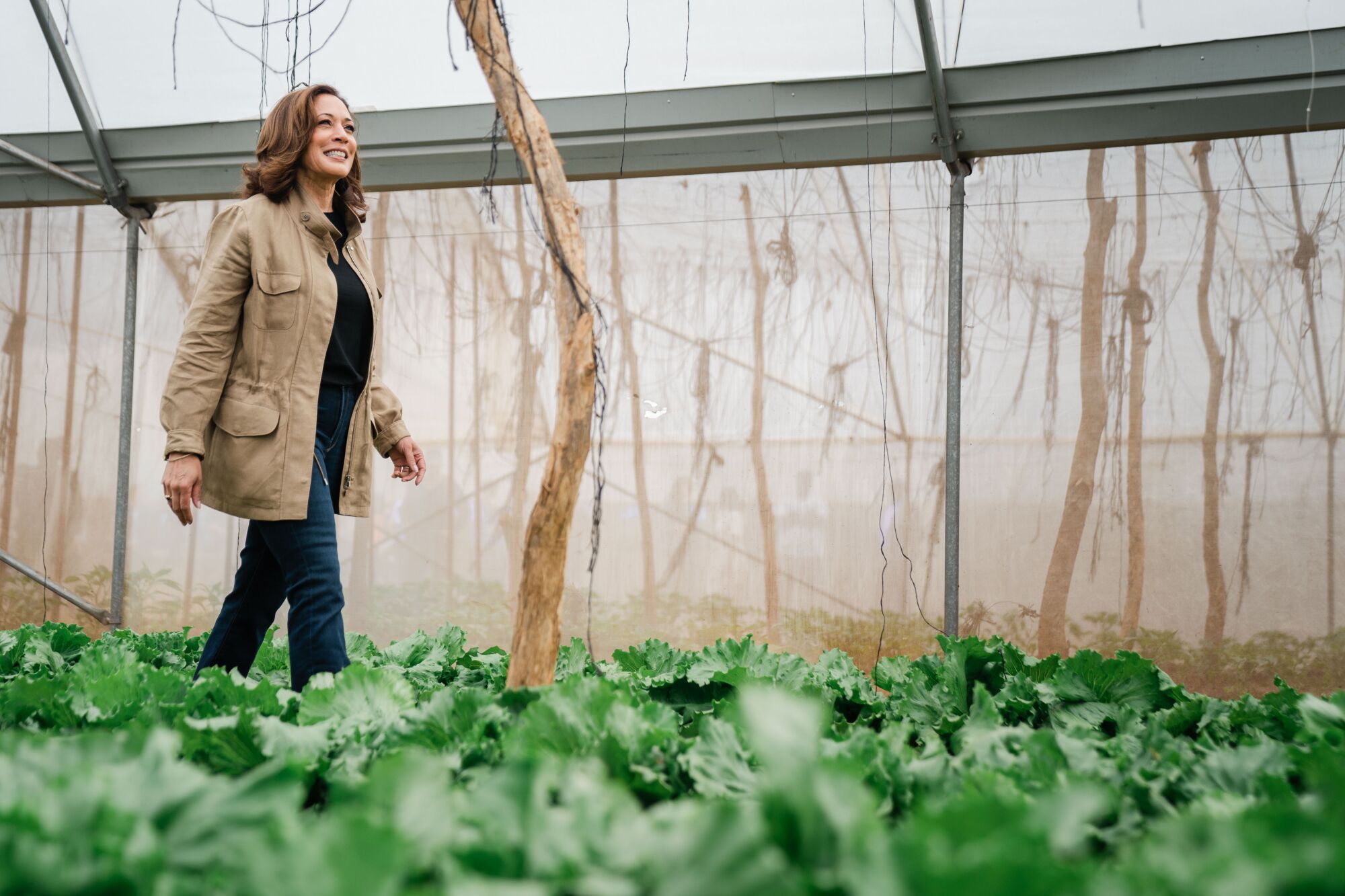 U.S. Vice President Kamala Harris vists Panuka Farm in Zambia.