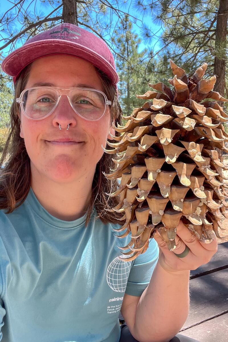 A person holding up a giant pinecone at Chilao Campground.