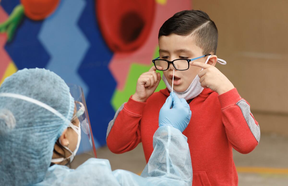 A kindergarten student gets a coronavirus test via nose swab