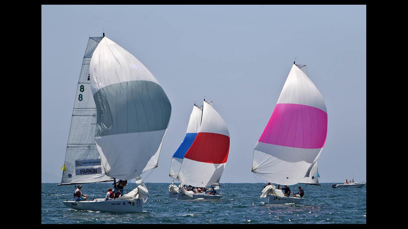 Photo Gallery: Governor's Cup racing sponsored by Balboa Yacht Club