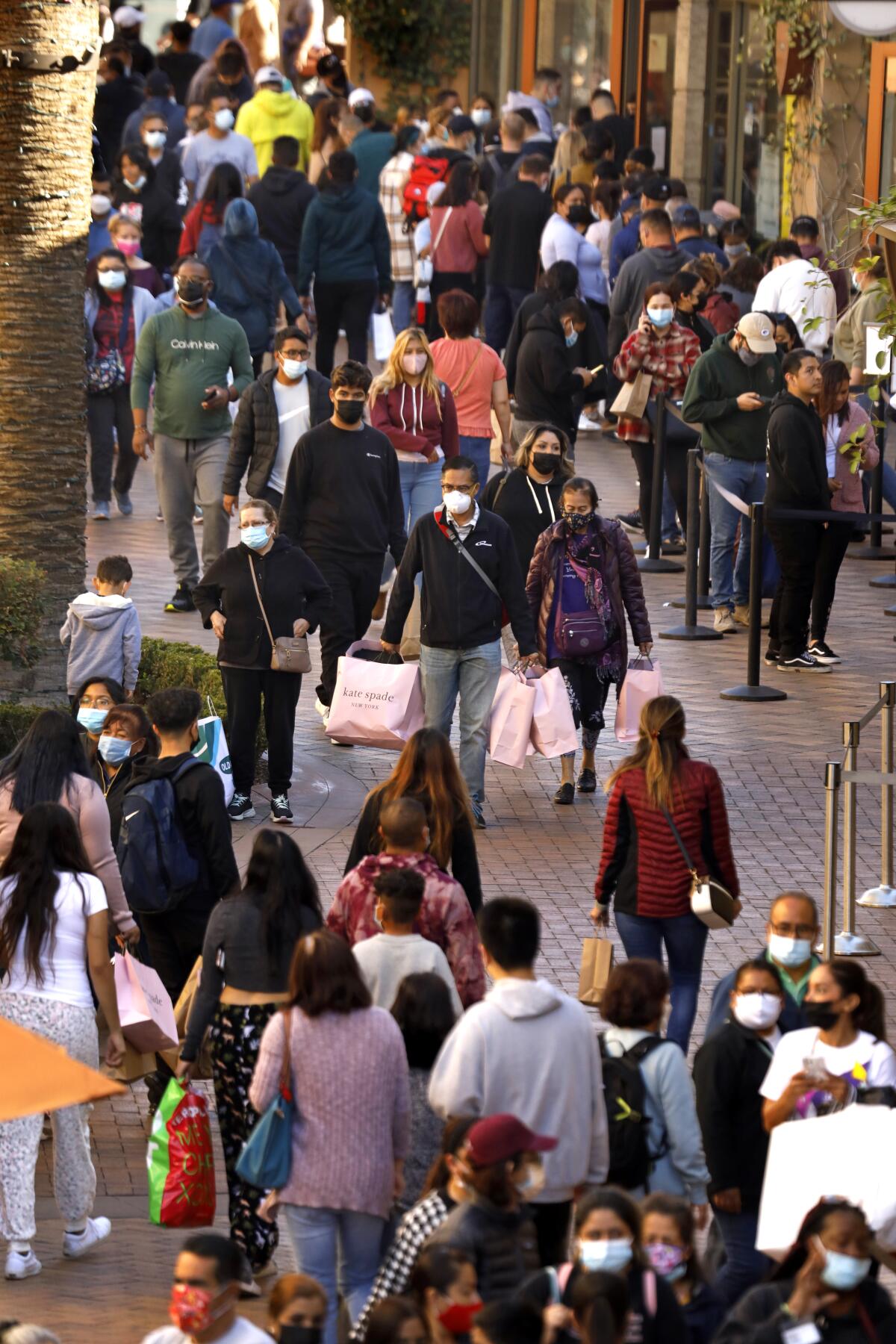 Black Friday sale shoppers stand in line at the Fashion Show Mall