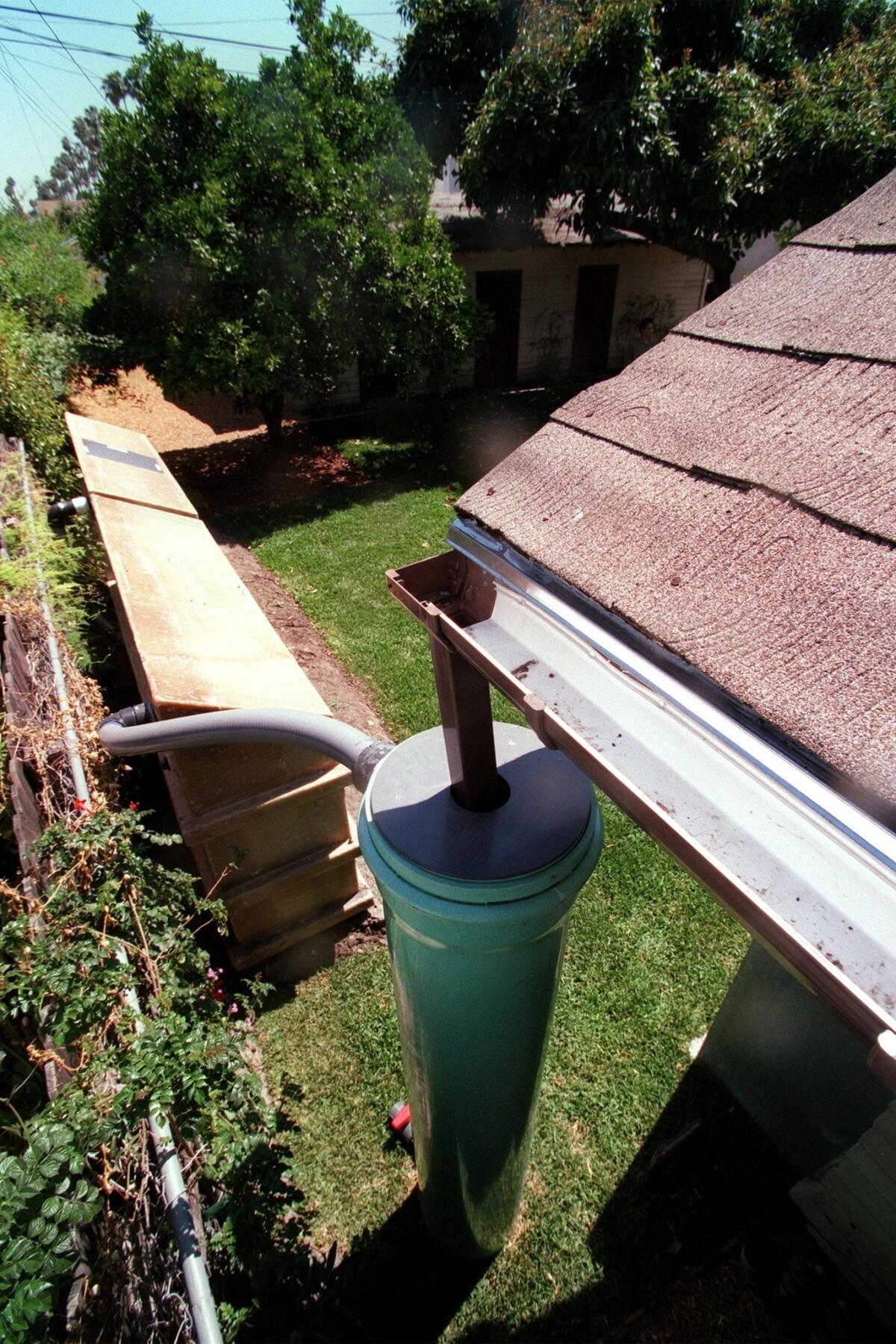 To protect against mold, be sure your gutters are clean and not leaking.