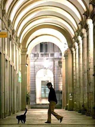 A pedestrian and a stray cat are dwarfed by the covered arcades in Turin.