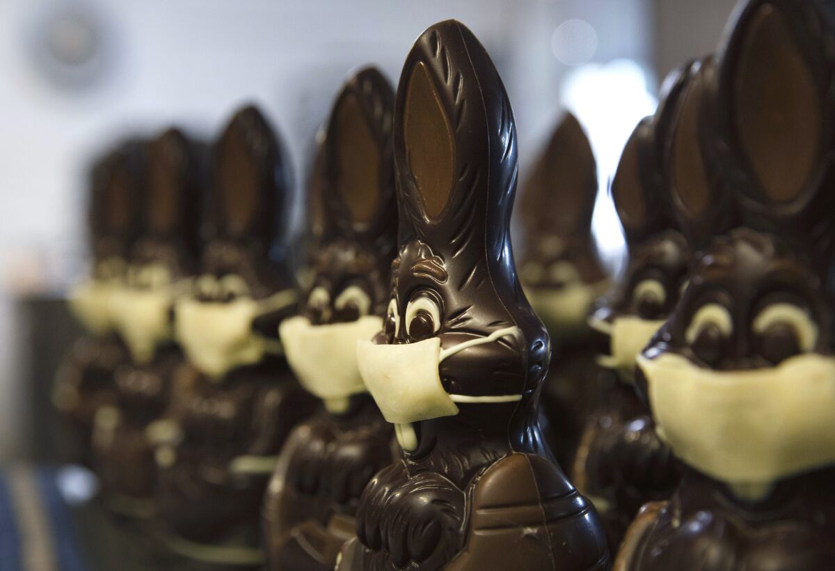 Chocolate Easter bunnies with candy face masks