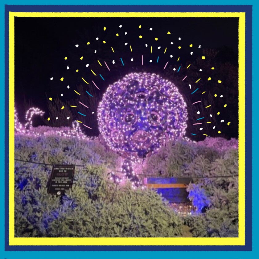 Go with the GLOW at South Coast Botanic Garden.