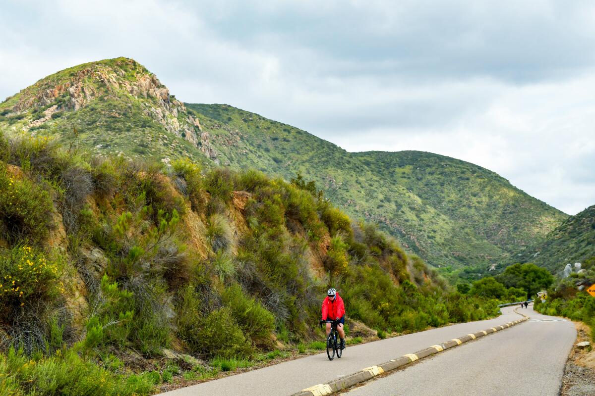 Why you should visit California's largest city park right now 15 Father Junipero Serra Trail runs alongside a stretch of the San Diego River.