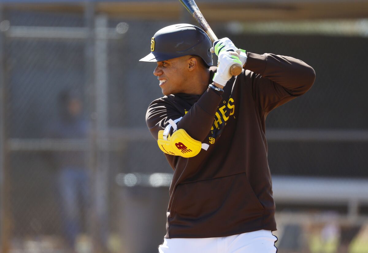 The Padres' Juan Soto bats during a spring training practice in February.