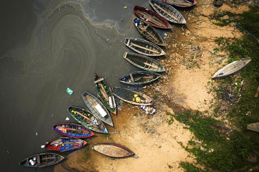 Botes de pesca en la orilla del río Paraguay en la localidad de Mariano Roque Alonso, en las afueras de Asunción, Paraguay, el lunes 9 de septiembre de 2024. Los niveles de agua del río han caído a su máximo histórico debido a la sequía, según el Departamento de Meteorología e Hidrología de Paraguay. (AP Foto/Jorge Sáenz)