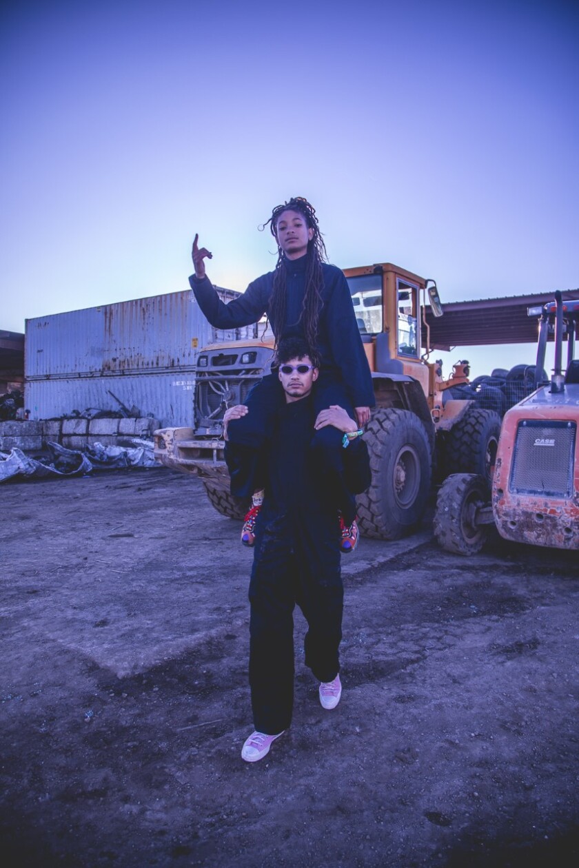 Willow Smith Will Be Trapped In A Box For 24 Hours At Moca