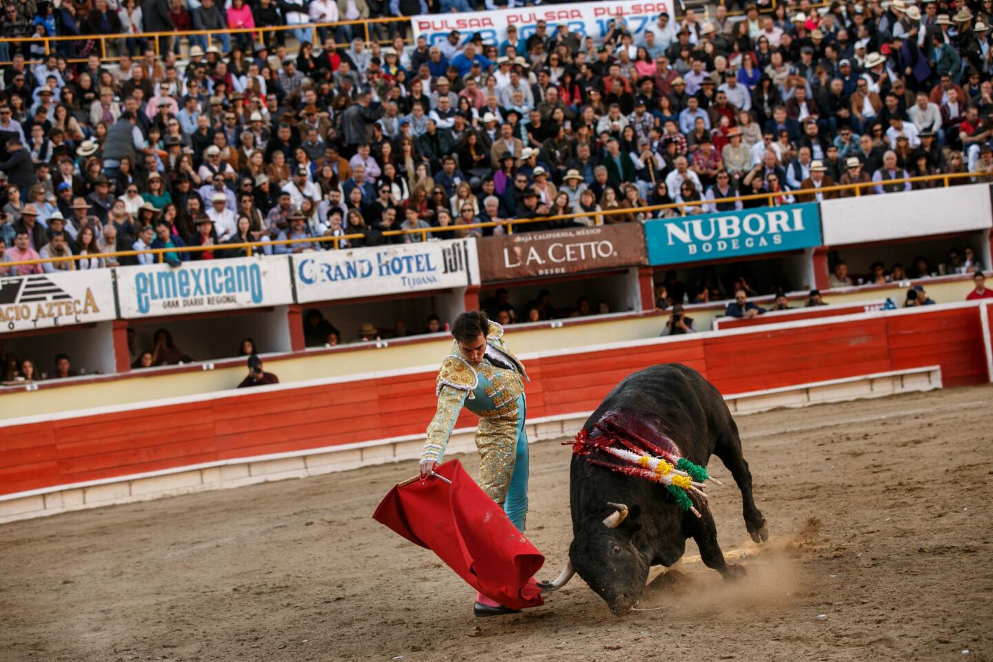 Tijuana bullfighting