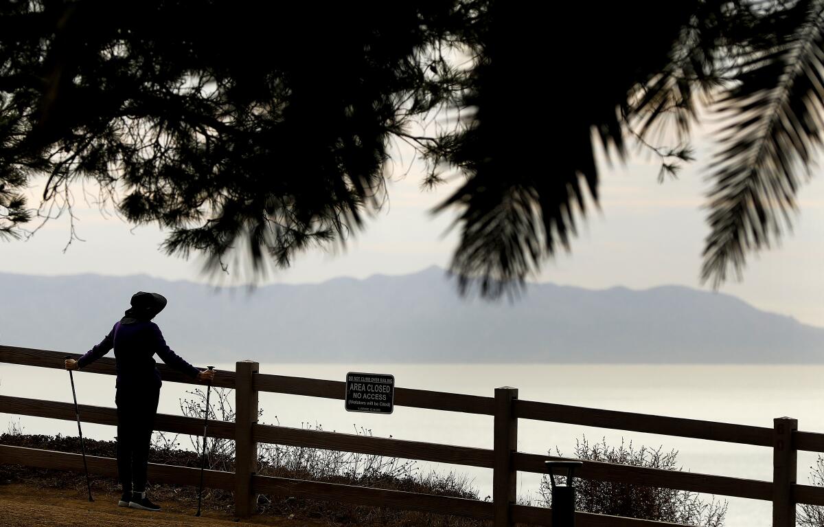 A person leaning on a guard rail looks out at the Pacific Ocean